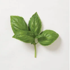 Genovese -Sowing And Seeds Shop 00911 05 genovese