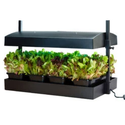SunBlaster Growlight Garden