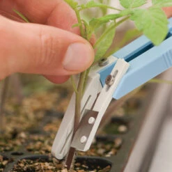 Miter-Cut Grafting Knife 8 Miter-Cut Grafting Knife -Sowing And Seeds Shop 07172 04 mitercutgrft knife