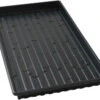 Lightweight Shallow Trays (with Holes) – 100 Count