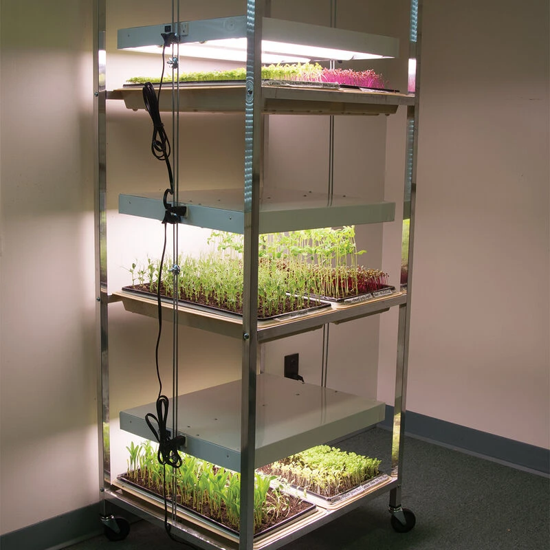 Compact Seedling Light Cart – 6 Trays, 240 Watts 1 Compact Seedling Light Cart – 6 Trays, 240 Watts