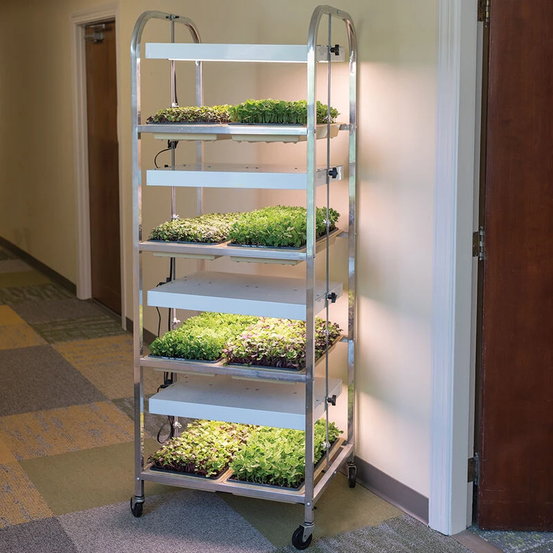 Compact Seedling Light Cart – 8 Trays, 160 Watts 1 Compact Seedling Light Cart – 8 Trays, 160 Watts