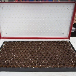 Sowing And Seeds Shop 24 Seed Plate A264