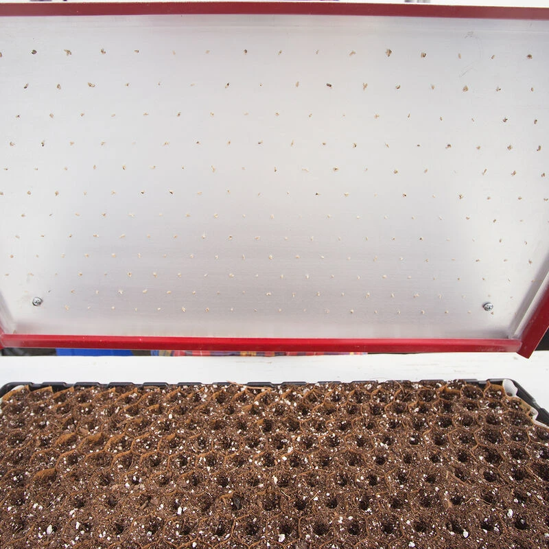 Seed Plate C264 1 Seed Plate C264