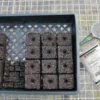 Soil Block Propagation Trays – 5 Count