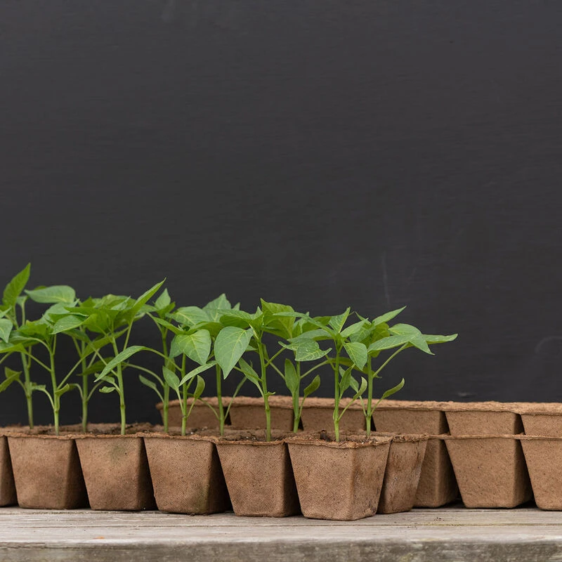 12 Cell Fertil Pots Strip – 8 Count 1 12 Cell Fertil Pots Strip – 8 Count