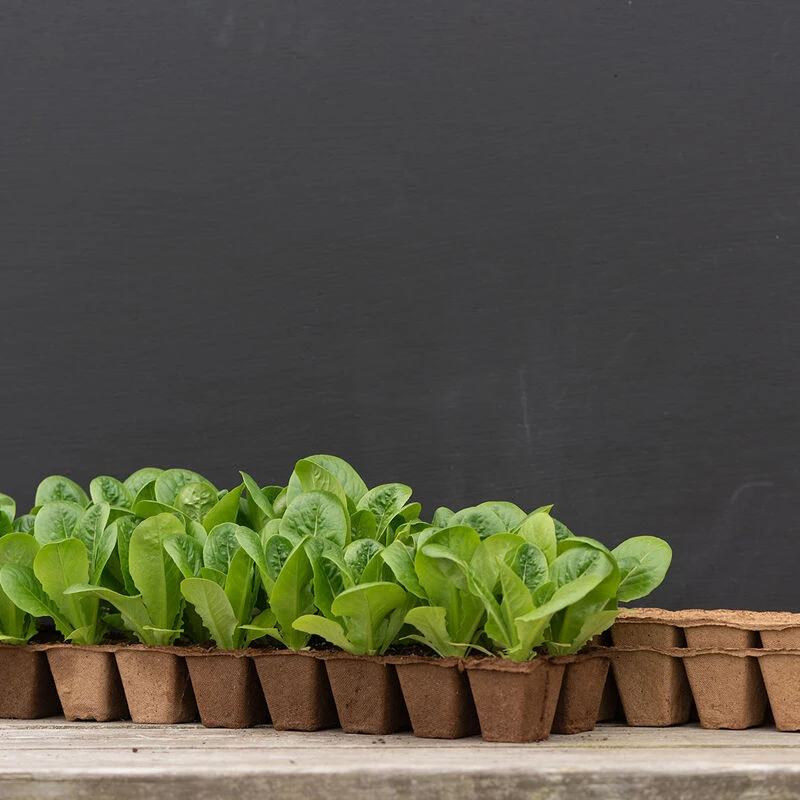 18 Cell Fertil Pots Strip – 10 Count 1 18 Cell Fertil Pots Strip – 10 Count